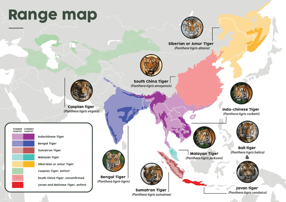 Tiger habitat map image